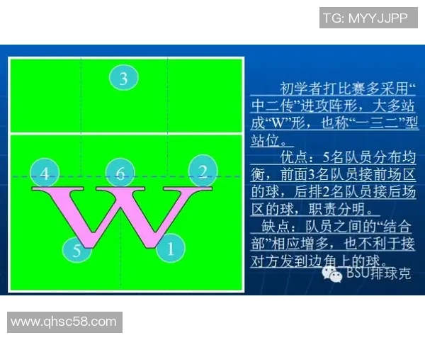 杭州排球队的战术演变与球员转换深度解析