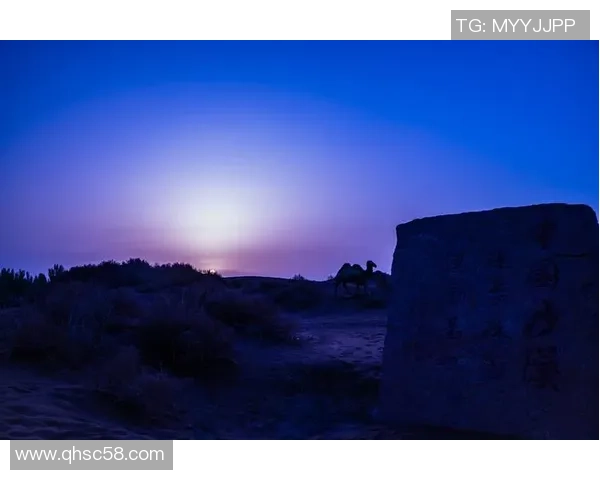 孤独的足球明星在晨曦中独自训练展现坚定信念与不屈精神的瞬间 孤独的足球明星在晨曦中独自训练展现坚定信念与不屈精神的瞬间