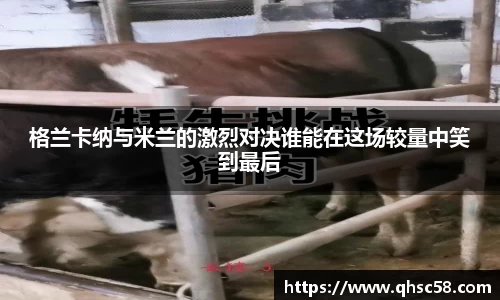 雷火电竞官方网站入口